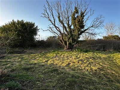 Picture 15